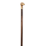 Collectable Dog Head Handle Walking Stick Brown Beech Wood Stick Gold Collar
