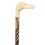 Elegant Large Whippet/Greyhound Ivory Effect Head Wooden Walking Stick